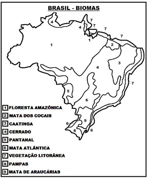 Mapa Biomas Do Brasil Para Colorir Suporte Geogr Fico