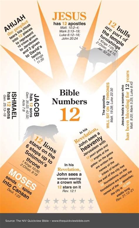 Bible Numbers 12 Bible Facts Bible Study Notebook Scripture Study