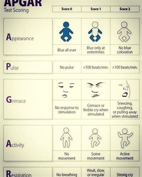 Apgar Scoring System Medical Mnemonics Scoring System Emergency Porn