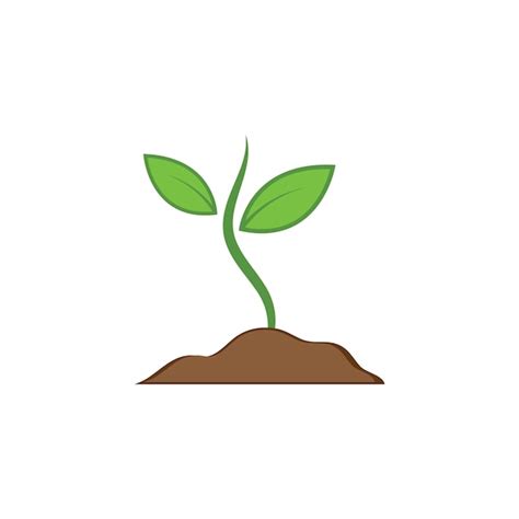 Premium Vector Plant Vector Icon Illustration