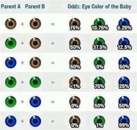 When Do Newborn Babies Get Their Eye Color Newborn Baby