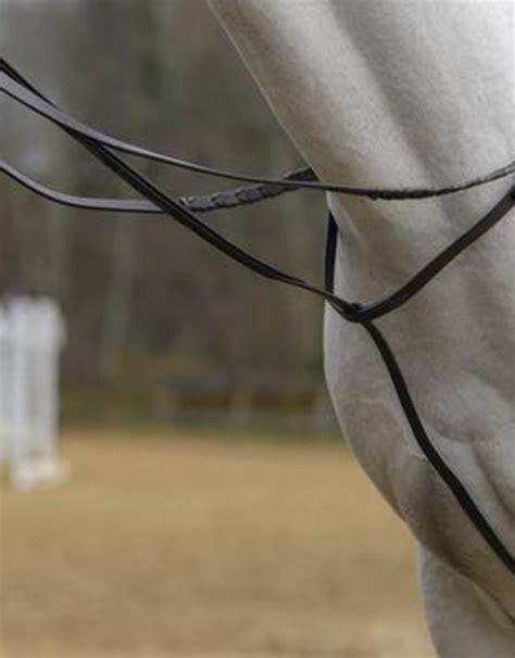 Standing Martingale Equine Essentials Tack And Laundry Services