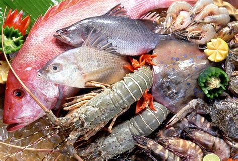 Kekurangan zat besi bisa diatasi dengan mengkonsumsi makanan yang mengandung zat besi seperti bayam, kentang, daging sapi , dll. Makanan Laut dan Makanan yang Mengandung Zat Besi Juga ...