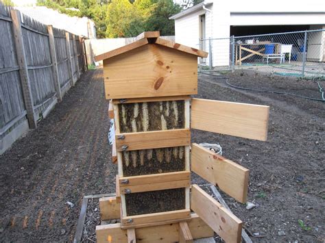 Guide To Bee Hive Types Learn The Essential Differences Bees4life