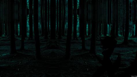 Dark Forest Wallpapers Top Free Dark Forest Backgrounds Wallpaperaccess