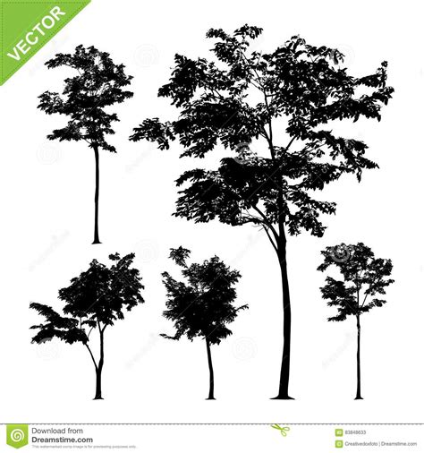 Tree Silhouettes Vector Stock Vector Illustration Of Vector 83848633