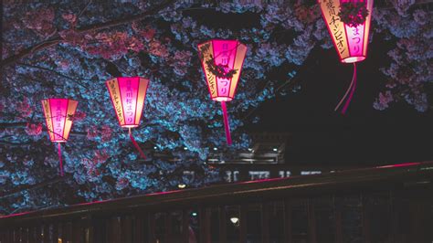 2048x1152 Japan Night Cherry Blossom Trees Lantern Glowing Night