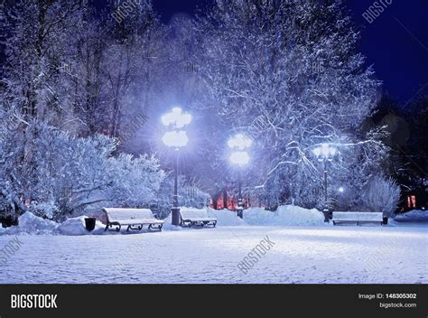 Winter Night Winter Landscape Image And Photo Bigstock