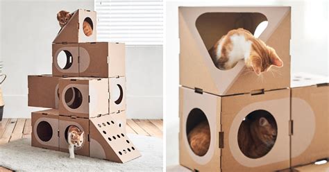 Designer Created Modular Cardboard Boxes For Cats And Our Furry