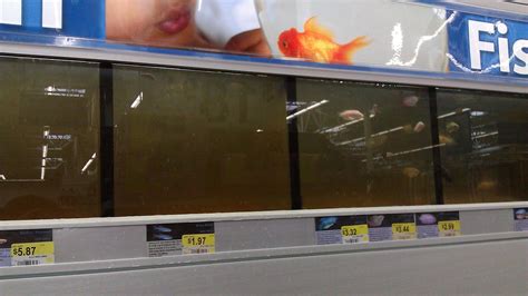 We recommend setting your monitor resolution to at least 1024 x 768u.s. Petition · Walmart: Improve or remove the fish tanks at ...