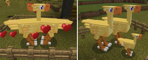 Chocobos Addon Minecraft Pe Mods And Addons