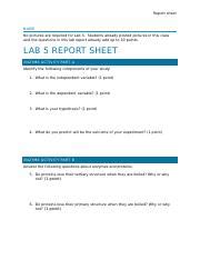 Report Sheet Lab Enzyme Activity Docx Report Sheet Name No Pictures Are Required For Lab