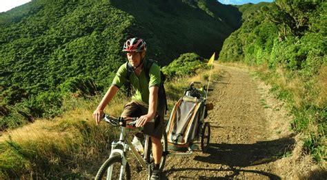 Experiencing The Rimutaka Incline Conservation Blog