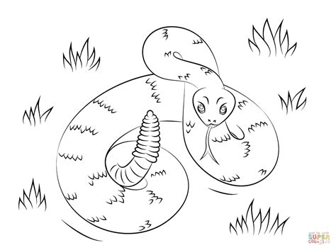 39+ diamondback rattlesnake coloring pages for printing and coloring. Rattlesnake coloring page | Free Printable Coloring Pages