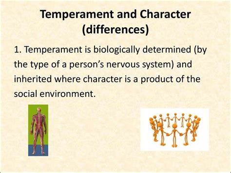 Temperament. Character - презентация онлайн