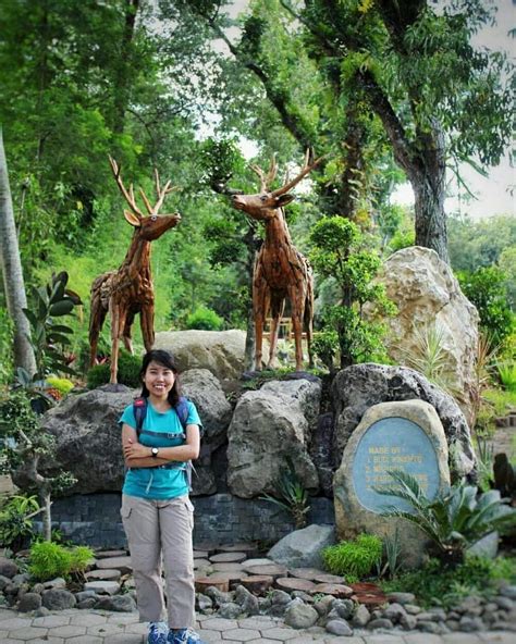 Tempat rekreasi yang satu ini terbilang ramah untuk pengunjung segala usia. Jadwal Buka Taman Rusa / Harga Tiket Dan Jam Buka Taman Botani Jember Serunya Berwisata Sambil ...