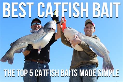 Pond Catfish Bait 10 Best Catfish Baits Of All Time Top Producing