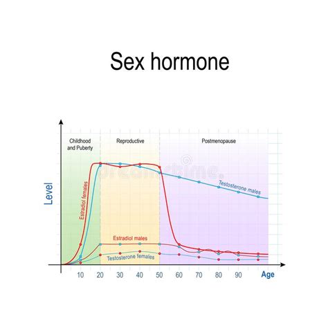 Sex Hormones And Ageing Levels Of Testosterone For Males And Females