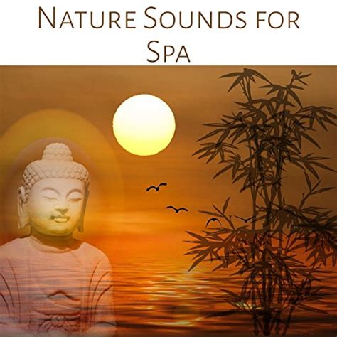 amazon music pure spa massage musicのnature sounds for spa relaxing ambiences for wellness
