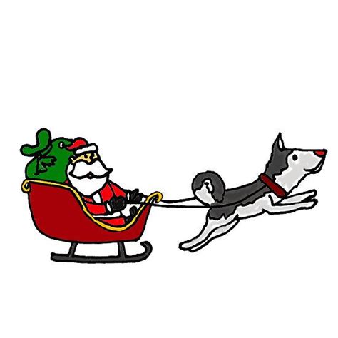 Funny Christmas Santa Sleigh With Husky Dog Christmas Humor Santa