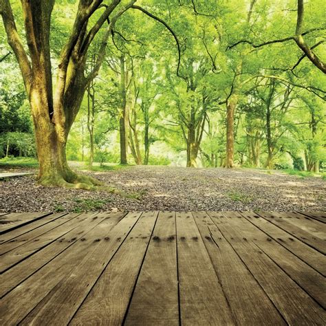 The Forest Landscape Photography Studio Background Cloth Vinyl Photo