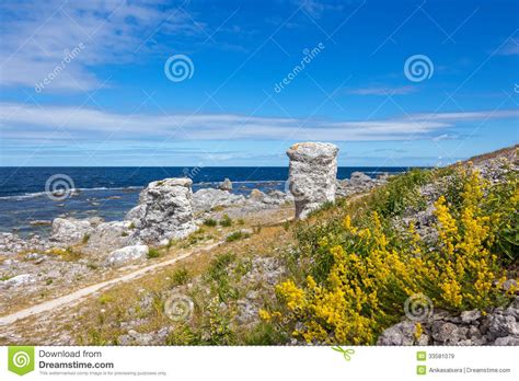 Nordic Nature Of Gotland Sweden Royalty Free Stock Images Image
