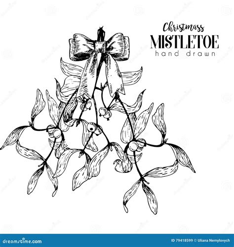 Vector Hand Drawn Illustration Of Mistletoe Branches Bounded With Bow