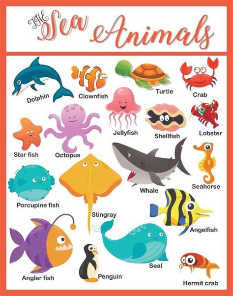 Sea Animals Educational Charts For Kids Home And School A3 Size