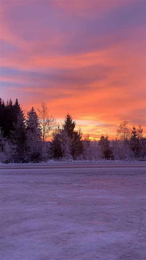 Download Wallpaper 1350x2400 Winter Horizon Dawn Snow Trees Sky