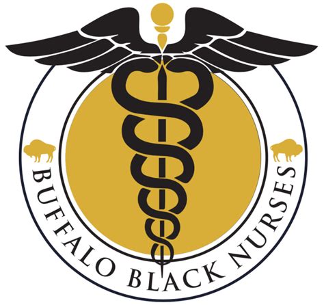 Roswell Park Buffalo Black Nurses To Host Job Fair At The Cancer