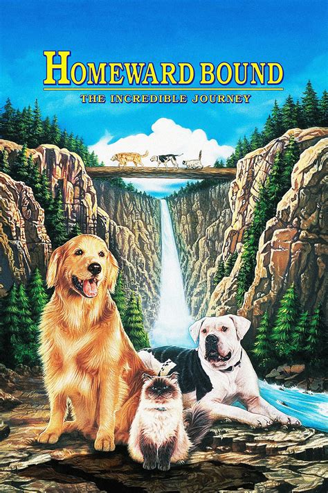 Homeward Bound The Incredible Journey 1993 Posters — The Movie Database Tmdb