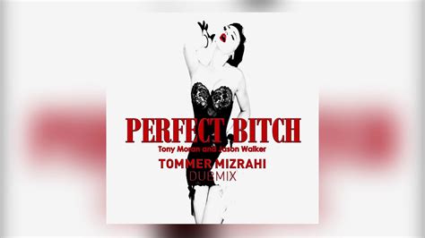 Perfect Bitch Tommer Mizrahi Dub Remix Youtube