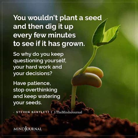 You Wouldn T Plant A Seed Steven Bartlett