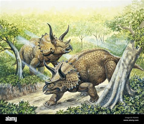 Rekonstruktion Von Triceratops Triceratops Horridus Späten