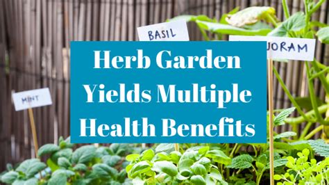 Herb Garden Yields Multiple Health Benefits - Mantachie Rural Health