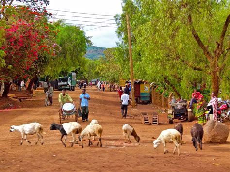 Top Pick Rural Africa Weekly Report