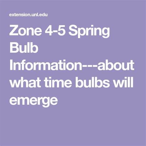 There are several bulbs that thrive in sandy conditions and would do well in your usda zone. Zone 4-5 Spring Bulb Information---about what time bulbs ...