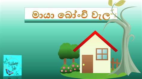 මායා බෝංචි වැල Sinhala Lama Kathandara ළමා කතා Sinhala Kids
