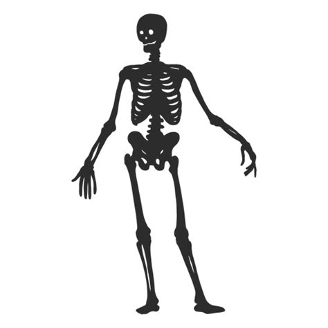 Silhueta De Esqueleto Simples Baixar Pngsvg Transparente