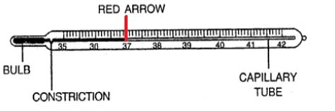 Question 3 define the term locomotion? Class 6 Physics - Physical Quantities And Measurement ...