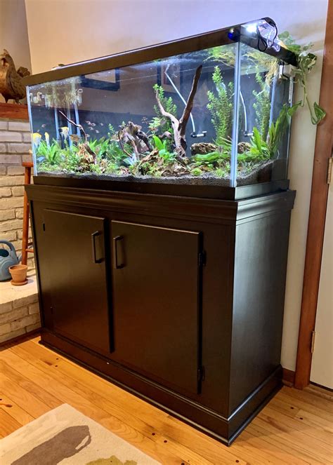 I Built The Stand For My New 75 Gallon Tank 2x4 Frame Wrapped In Mdf
