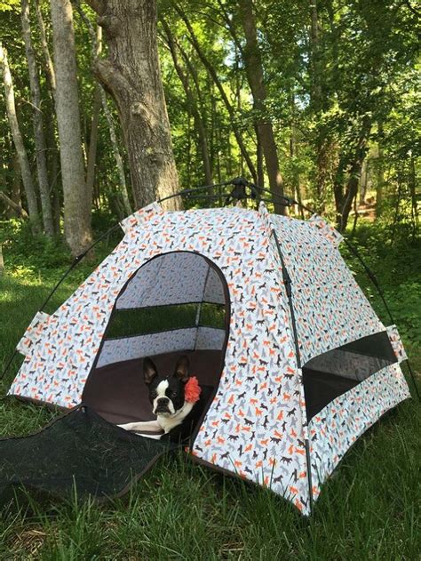 Product Review Play Scout Outdoor Dog Tent Petguide