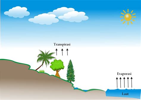 Evaporasi merupakan proses dimana air diubah menjadi uap air (vaporisasi) dan selanjutnya uap air tersebut dipindahkan dari permukaan bidang penguapan ke atmosfer. Throughfall, Stemflow, Transpirasi, dan Proses Adveksi ...
