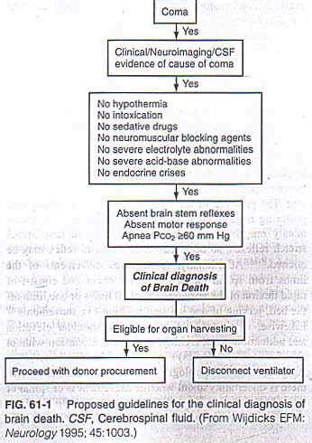 There are many roles that contribute to the death notification process. Neurological Criteria for Death (Brain Death Protocols ...
