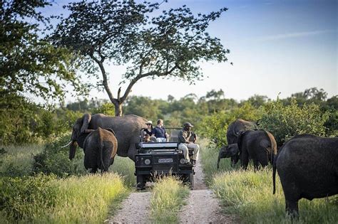 Private Game Reserves Or Private Concessions For Your Kruger Safari