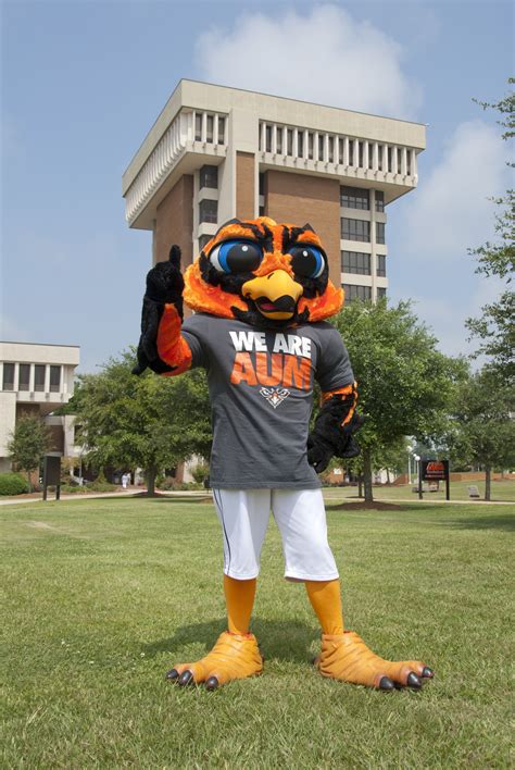 Aums Mascot Curtiss The Warhawk Poses In Front Of The Young Library