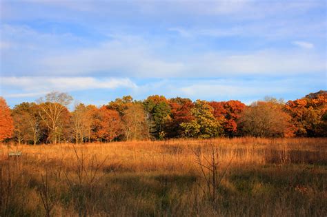Treeline Across The Fields At Perrot State Park Wisconsin Image Free