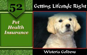 We did not find results for: Pet Health Insurance - Wisteria Goldens