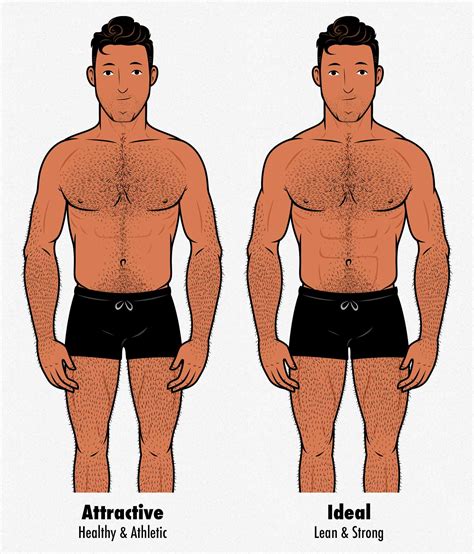 Body Types Of Gay Men Vvtivest
