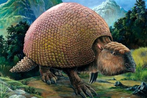 Glyptodon Mundo Prehistórico Foro De Paleontología